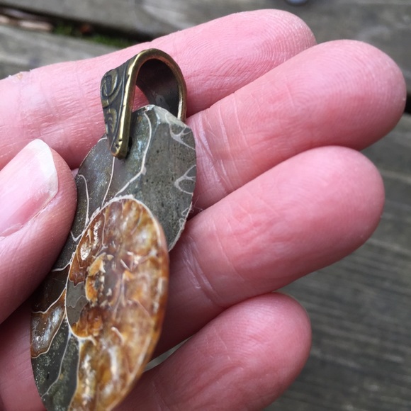 Ammonite Fossil Pendant with Brass Bail NWOT - Picture 14 of 14